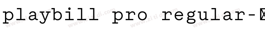 playbill pro regular字体转换